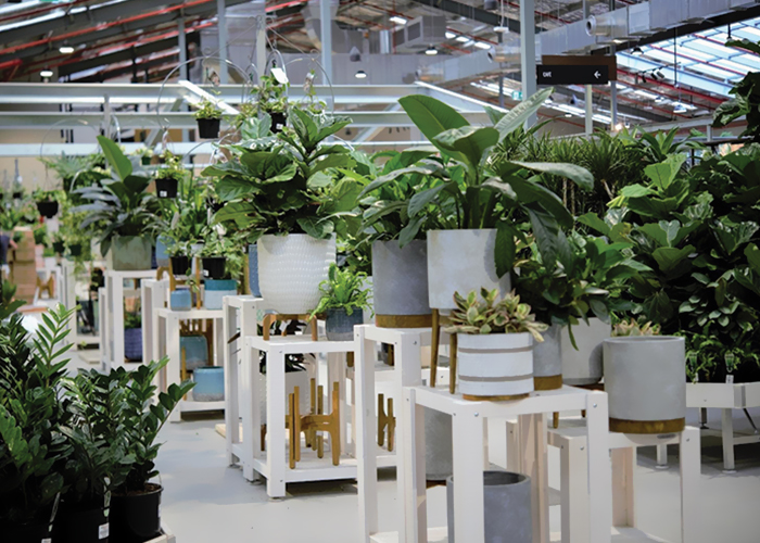 Mobiliario de centro de jardinería