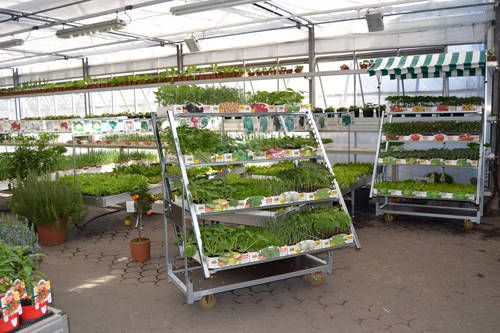 CABRIOLET CART: from transportation to exhibition in one CLICK 