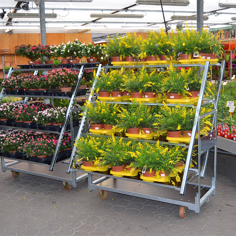 Cabriolet convertible trolley