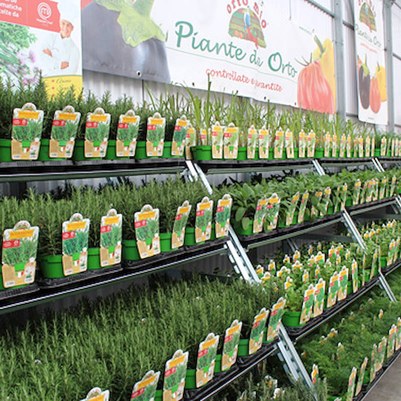 Cabriolet convertible trolley