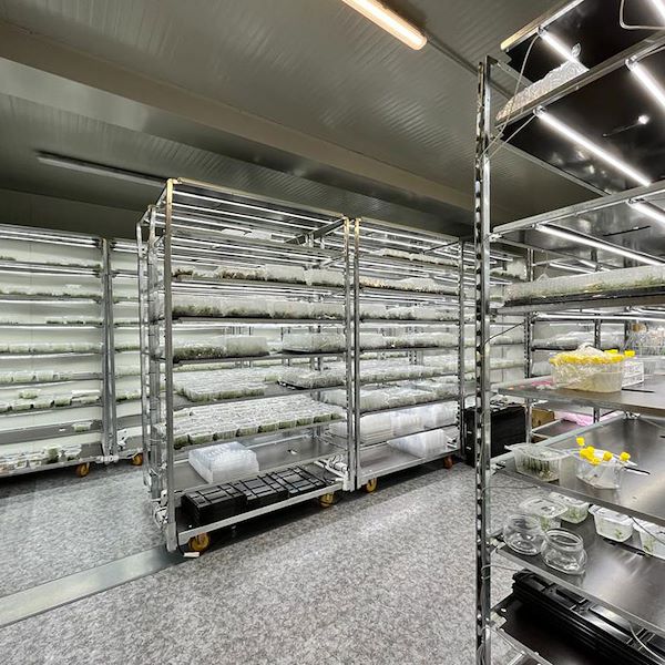 DC trolley with led lights kit for GERMINATION AND GRAFTING