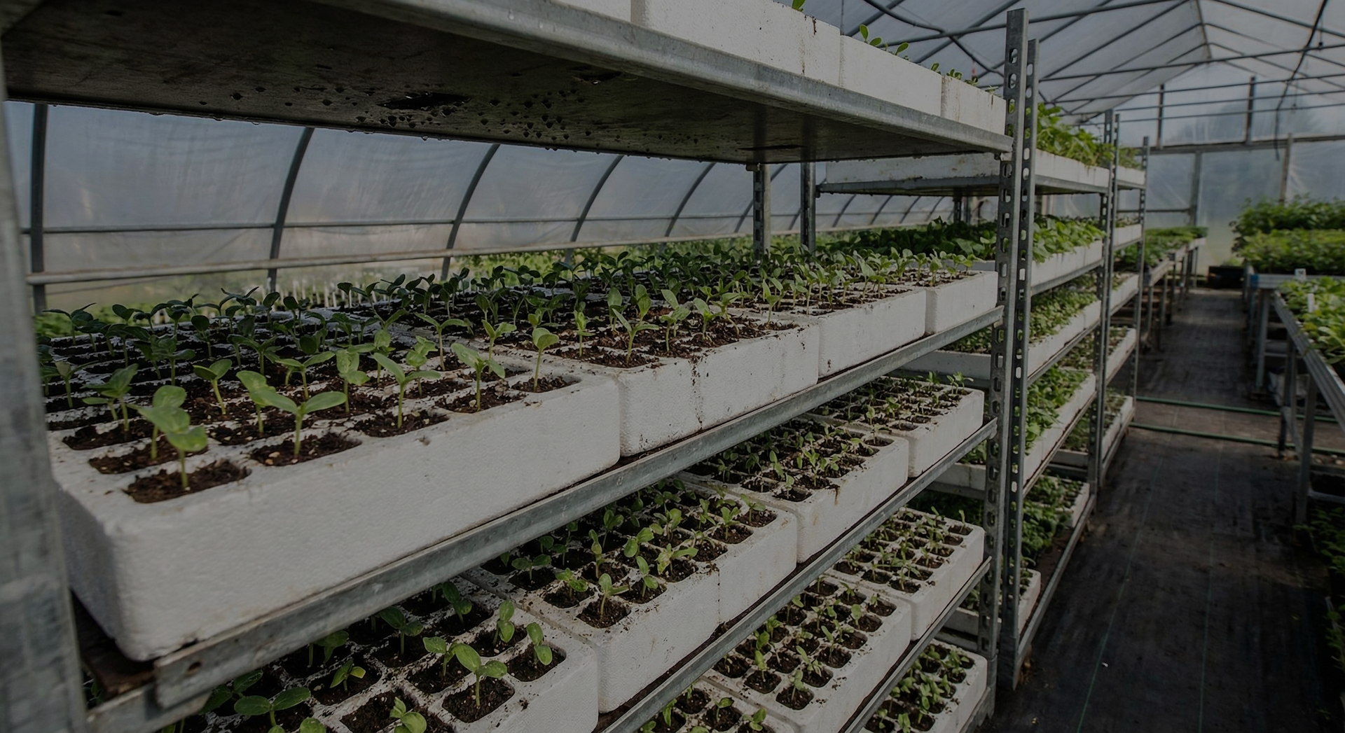 Contibuti a fondo perduto per l'acquisto di arredi