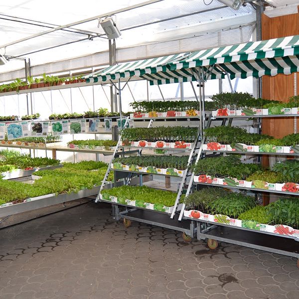 Cabriolet convertible trolley