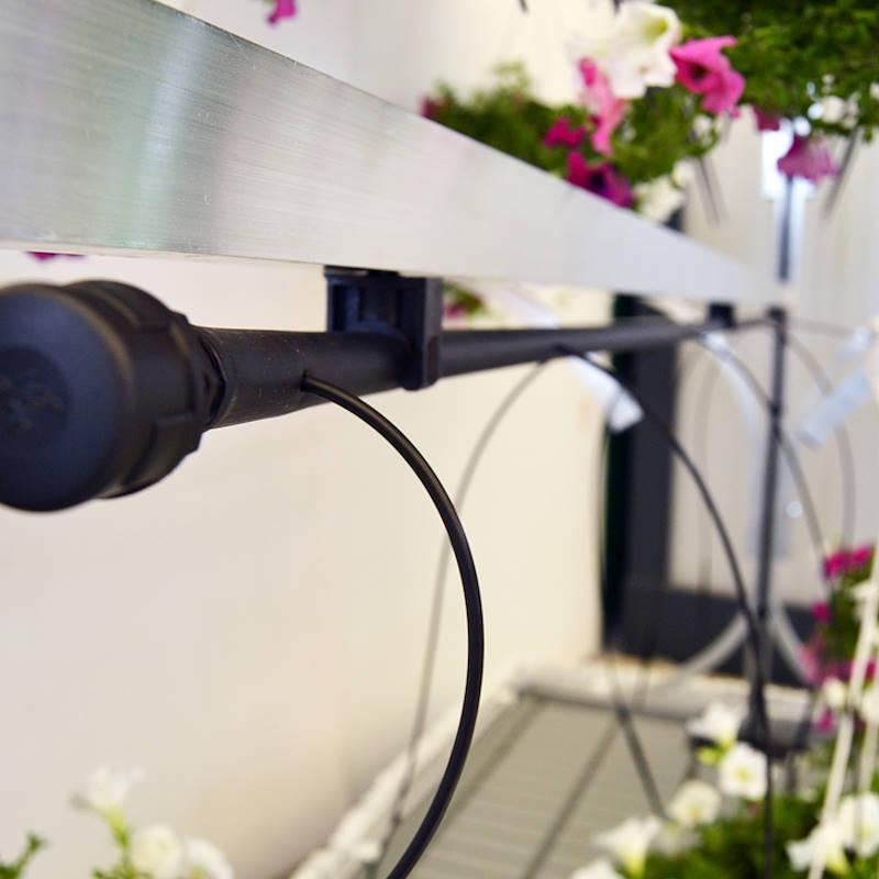 للعرض النباتات  Chiringuito مقصورة