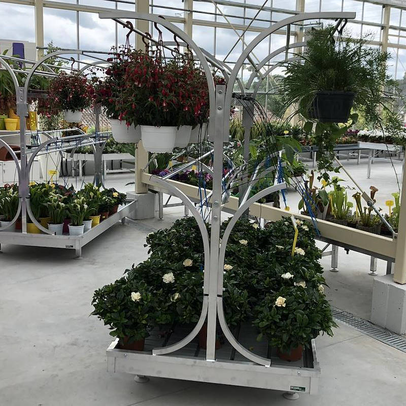 Chiringuito - pot plants display