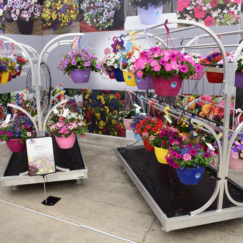 للعرض النباتات  Chiringuito مقصورة