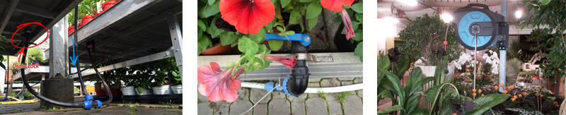 Comment gérer l'irrigation de fleurs et plantes dans un magasin