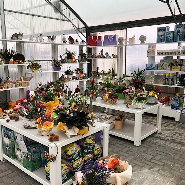 The new look of Garden Frediani