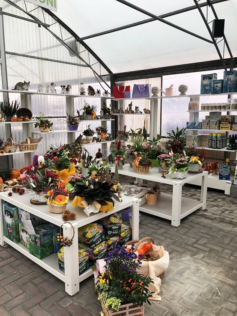 In front of the checkout, tables with décor complements and ready-made compositions have been positioned, in favor of impulse purchases.