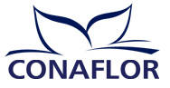 Confindustria Mantova and Organizzazione Orlandelli