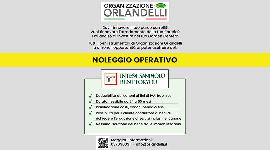 Noleggio operativo