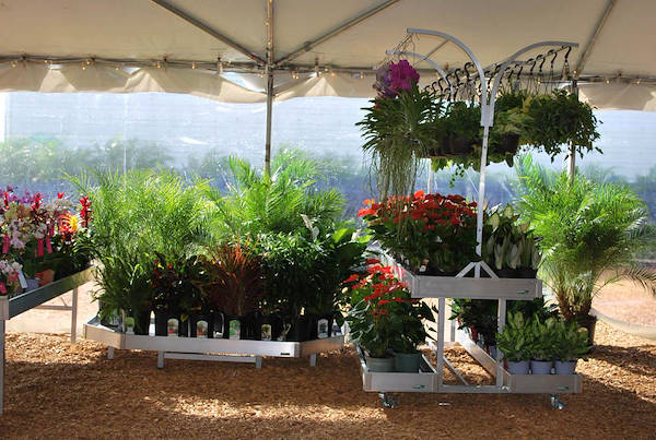 Costa Farms, concept espositivo