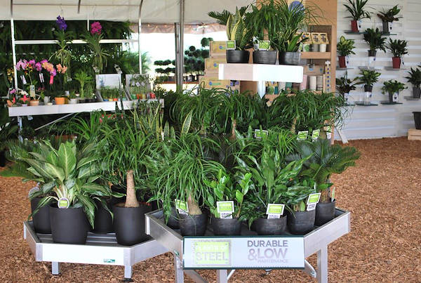 Costa Farms, concept espositivo