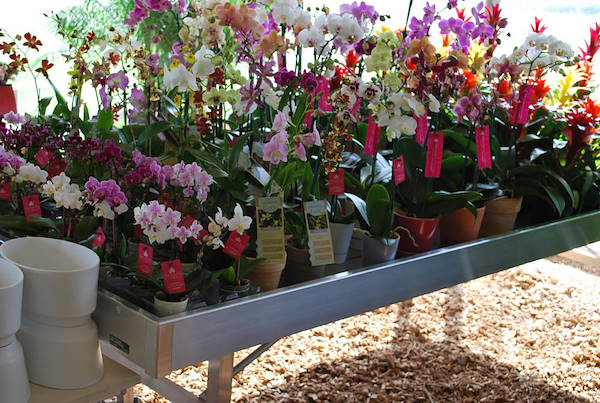 Costa Farms, concept espositivo