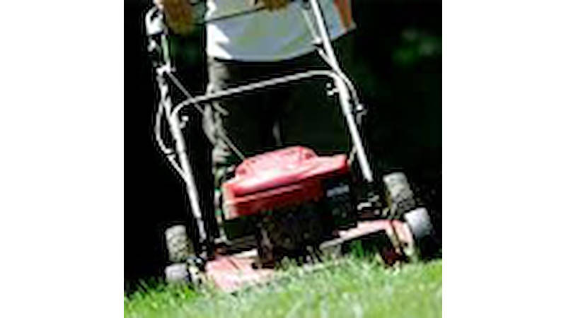 Crescono le imprese di giardinaggio