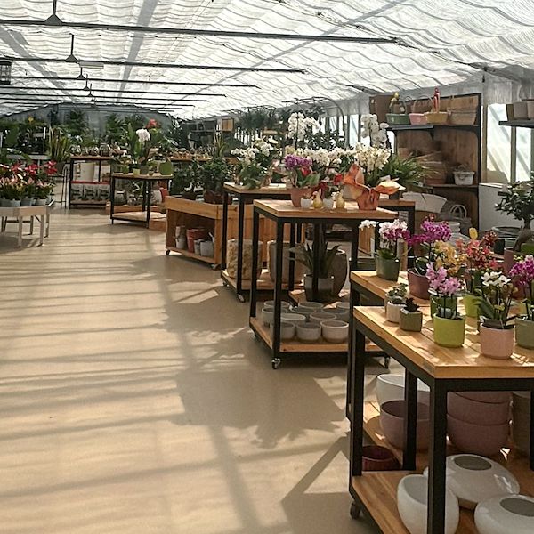From Nursery to Garden Center: The Restyling of Floricoltura Benda