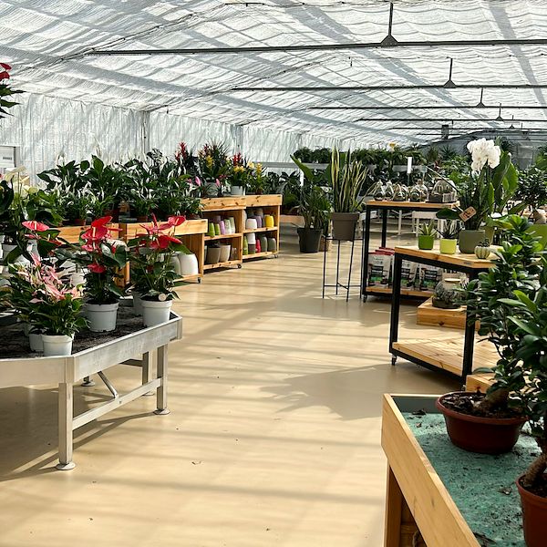 From Nursery to Garden Center: The Restyling of Floricoltura Benda