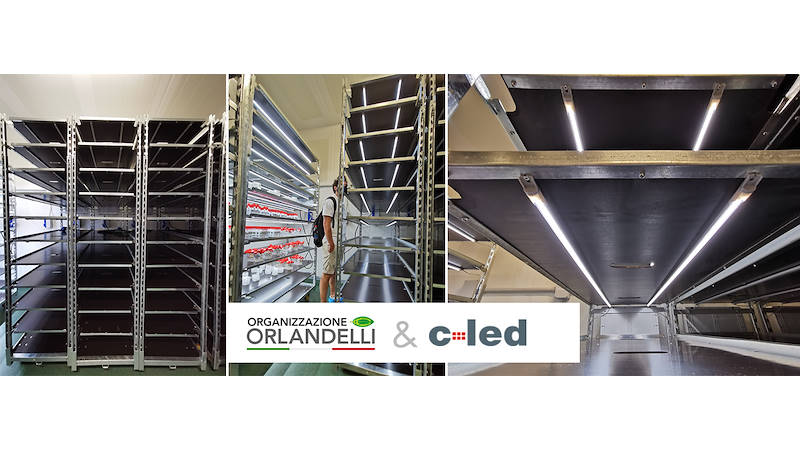 عربات DC الجديدة مع مجموعة إضاءة C-LED