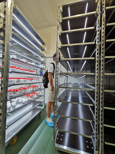 عربات DC الجديدة مع مجموعة إضاءة C-LED