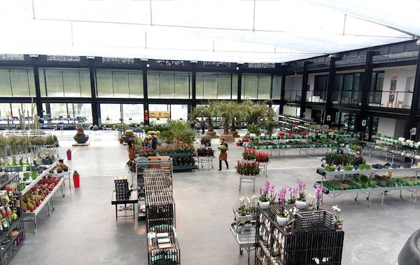 Desert City, il deserto più grande di Madrid