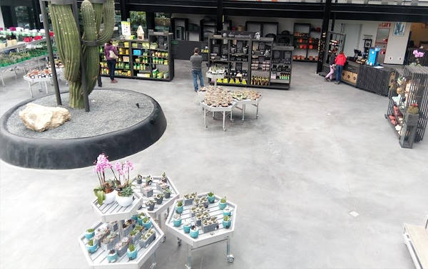 Desert City, il deserto più grande di Madrid