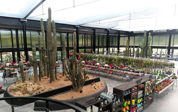 Desert City, le désert plus grand de Madrid