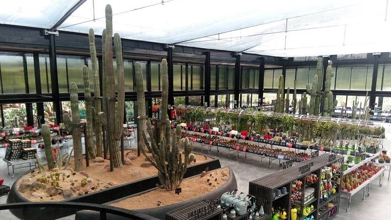 Desert City, il deserto più grande di Madrid