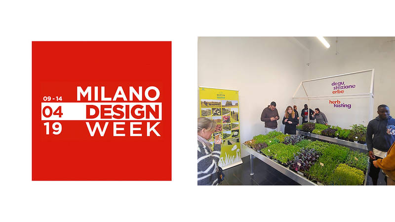 Design Week 2019