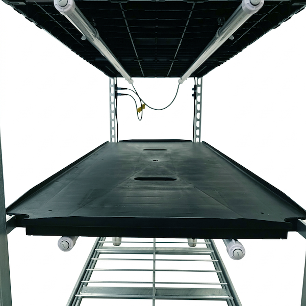 Chariot à grille 1350 avec lampes LED germination TUBE WHITE PAR