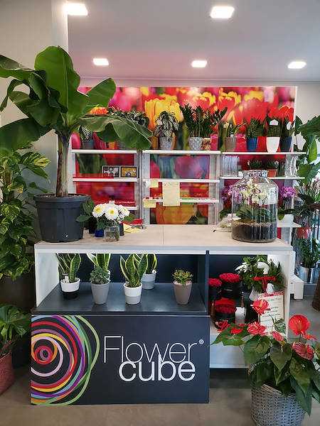 Die Oasi dei fiori in Mailand erhält ein neues, junges und elegantes Layout