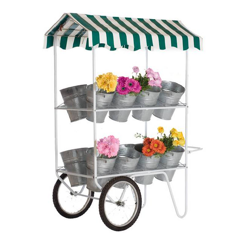 Display trolley with vases