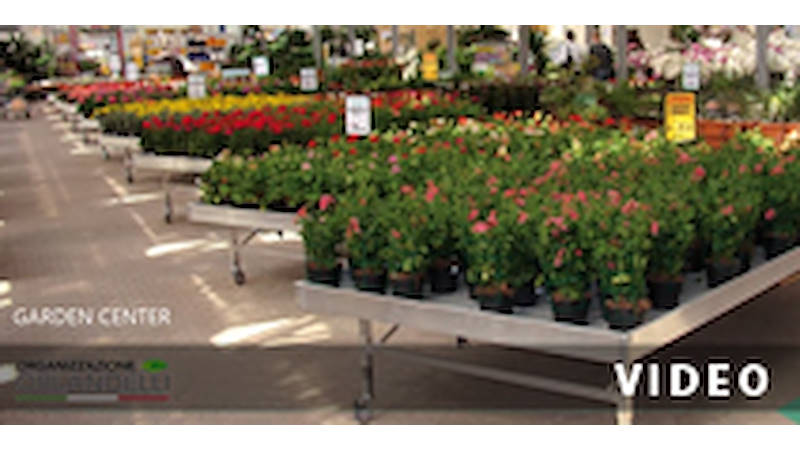 DIY GLOBAL, 150 words about Organizzazione Orlandelli