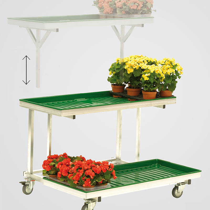 Double wall displayer stand with 6 water trays