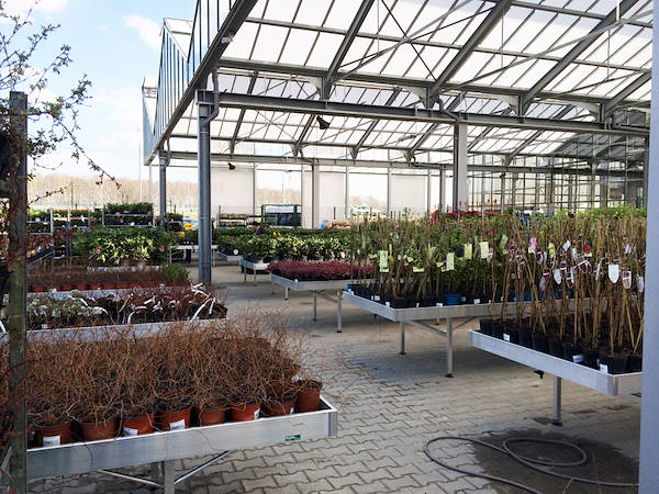 Eines der Geheimnisse um in Blumenzucht zu verdienen