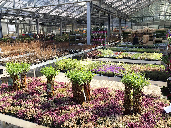 Eines der Geheimnisse um in Blumenzucht zu verdienen