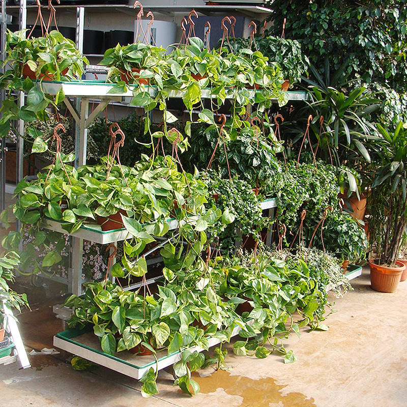 Einzelner  Wandverkaufsstand mit 3 Wasserwannen