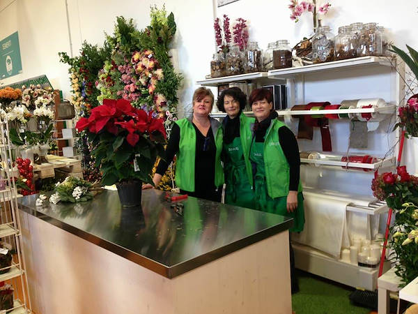 El nuevo concepto Paviotti de Orlandelli