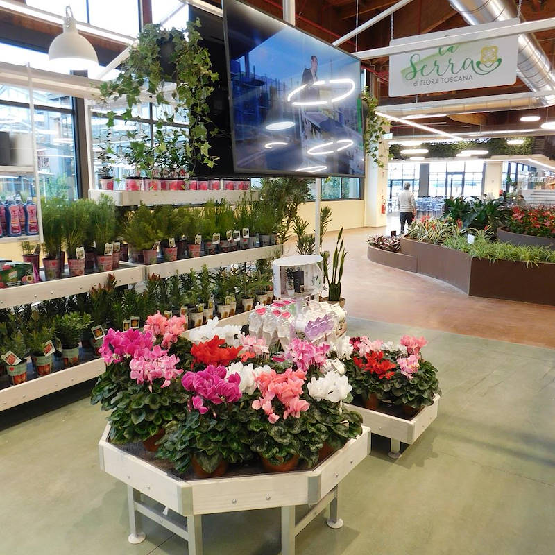 End-cap en madera AMOR