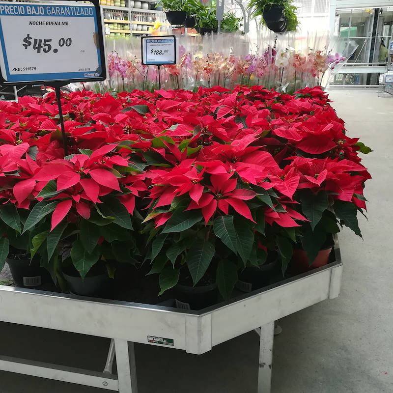 End Cap in alluminio per bancale