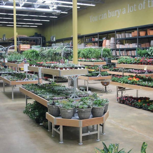 End Cap, Wood line AMOR