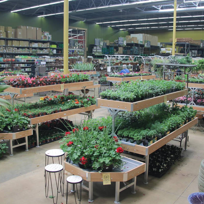 End Cap Linea Legno AMOR