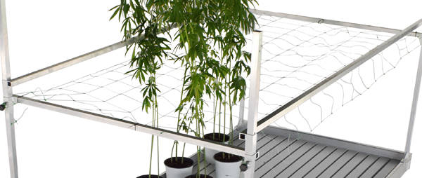 Équipements pour la production de plantes et de fleurs