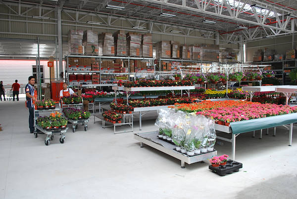 Gallery Home Depot Messico