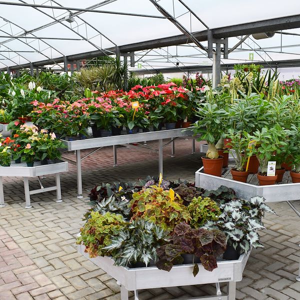 Il nuovo volto del Garden Frediani