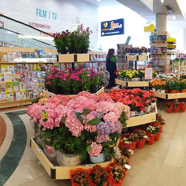 Sechseckiger Holztisch Linie Amor