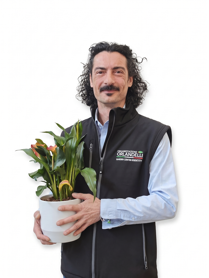 Federico Belleli