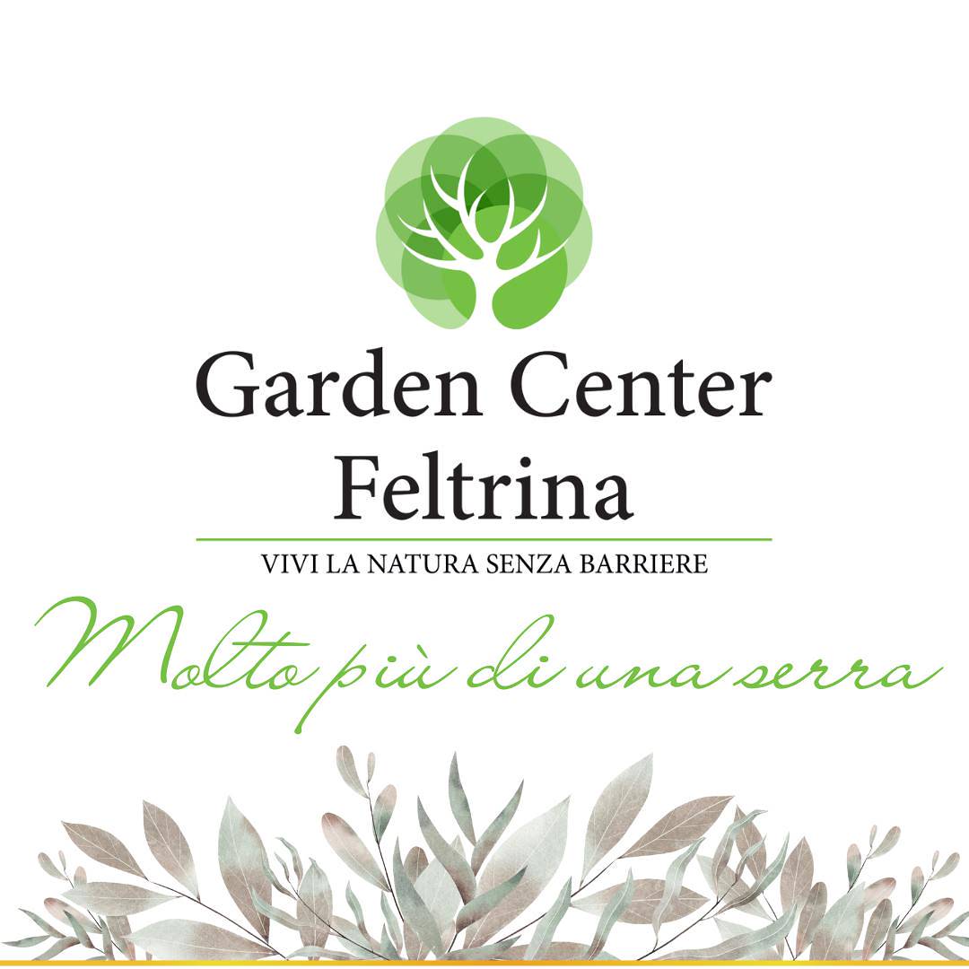 Новая глава садового центра Feltrina