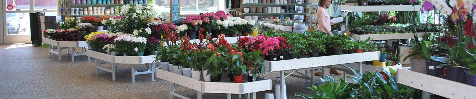 Renew the decor of your florist's shop