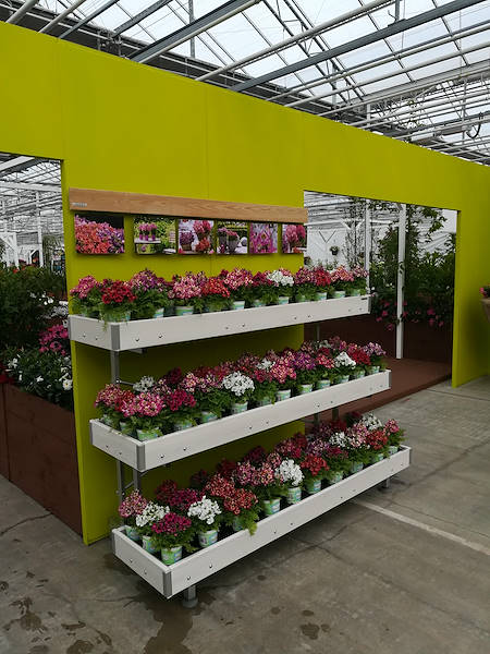 FlowerTrials 2017
