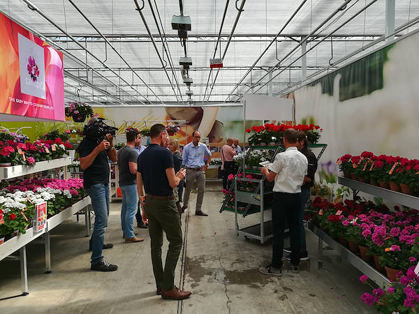 FlowerTrials 2017